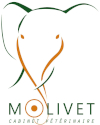 Logo Molivet